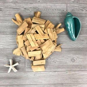 Adorable drift wood turtle wall decor /table decor wall art